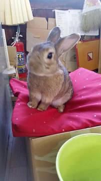 お気に入りの場所