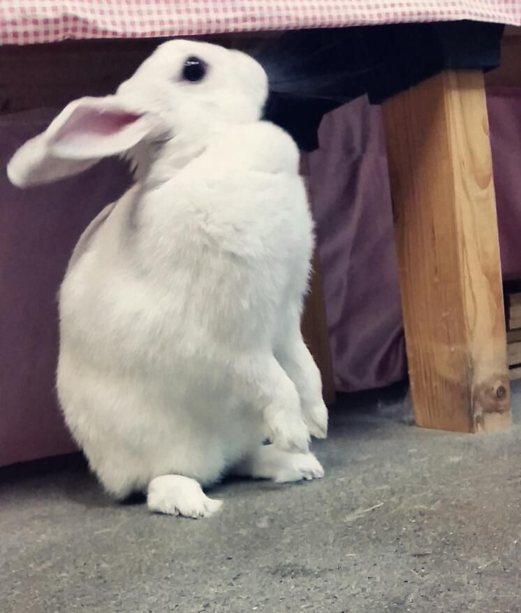 さむい