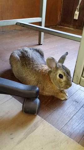 くりくり