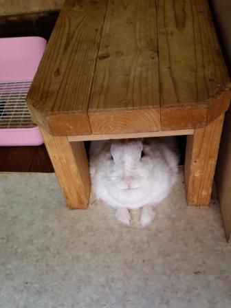 ようこそ