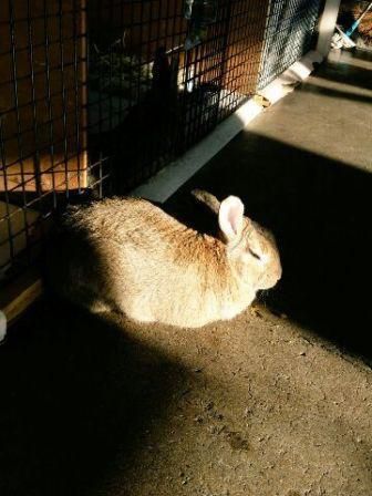 おひさま＾＾