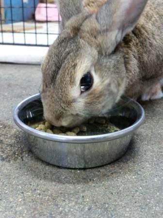 お食事☆