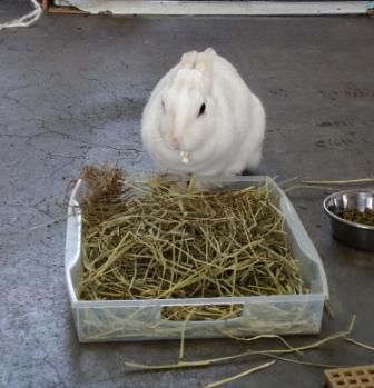 おそうじ