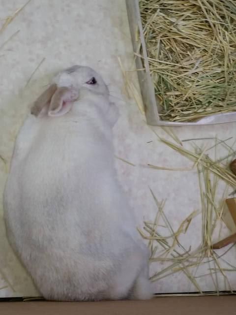 おやすみ
