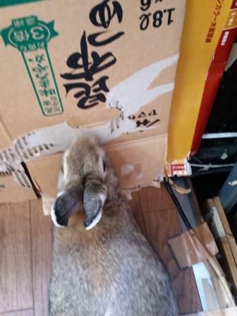 なんとなく今日は