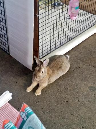 ふぅ～