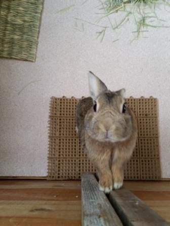 今日は
