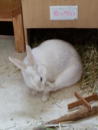 きれいにしてますの