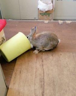 探し物？