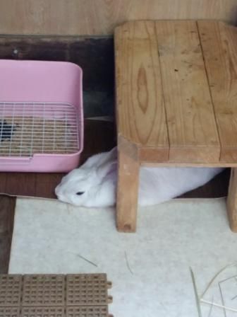 おつかれさま