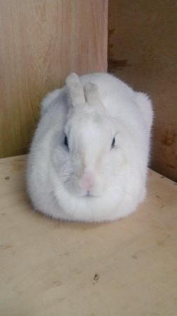 まるくなる～