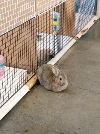 まるくなる～２