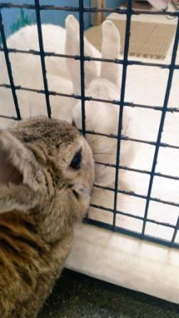 らぶらぶ～?