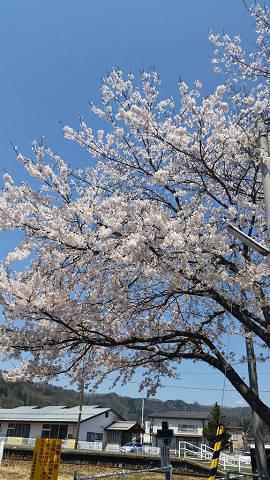 花回廊