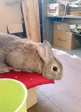 あっついね～