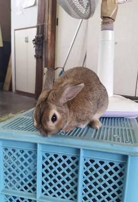 コンテナの上