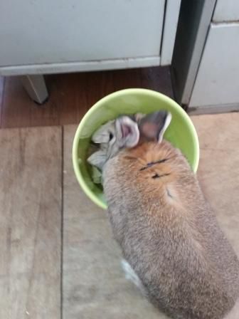 ごそごそ