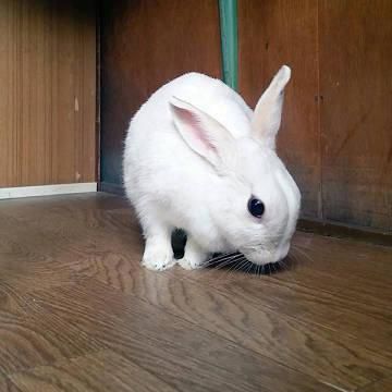 もっちぃ～