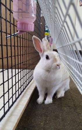 あっついな～