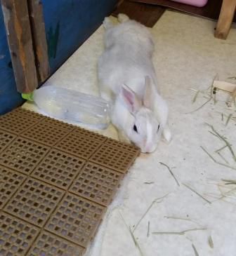 ぐだ～