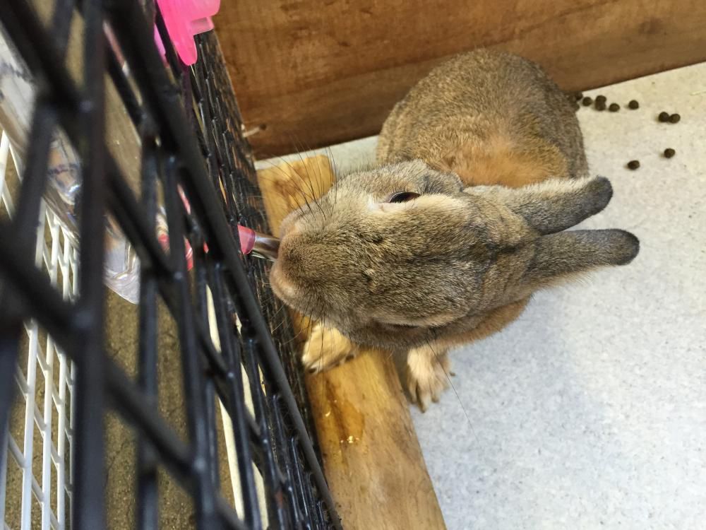 ちょっと。。。