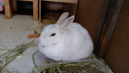 まるくなって。