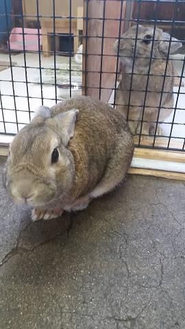 今日はごめんなさい