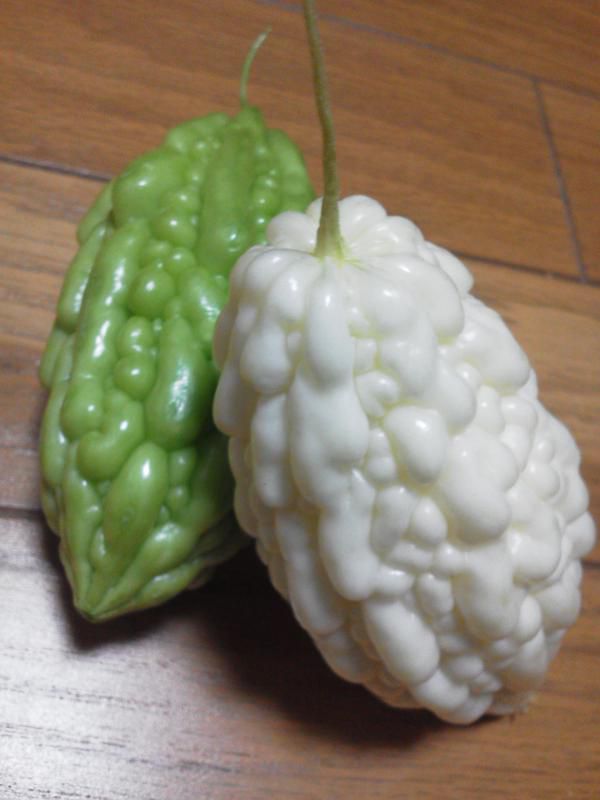 おはな。と。もっと。ゴーヤ。