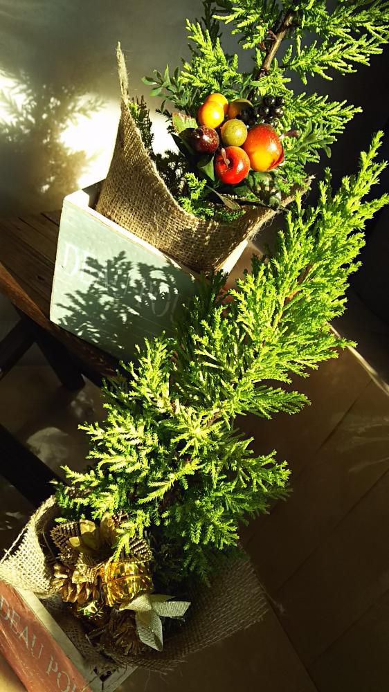 おはな。と。もっと。クリスマスツリー。