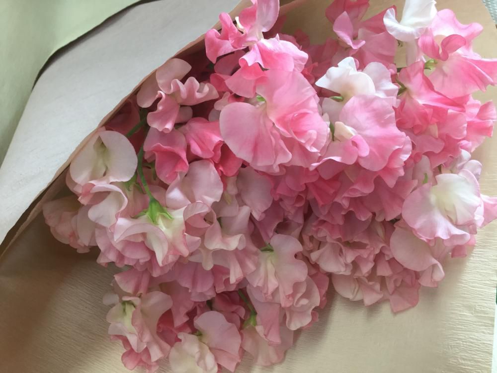おはな。と。もっと。スイトピーの花束♪♪♪