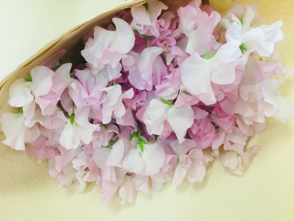 おはな。と。もっと。スイトピーの花束♪♪♪