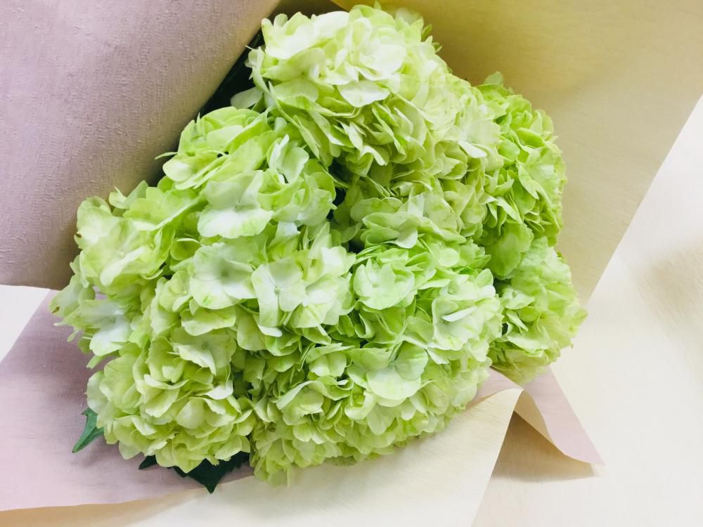 おはな。と。もっと。あじさいブーケ♪♪♪