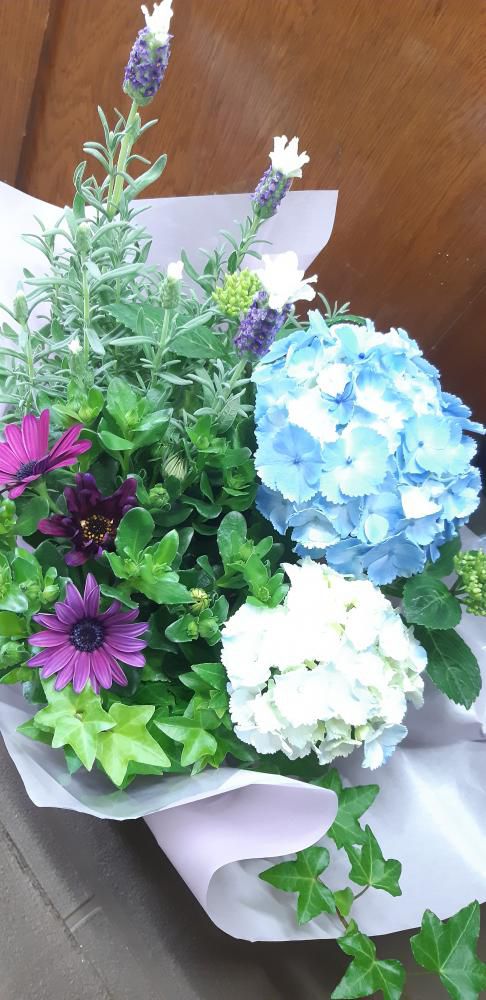 おはな。と。もっと。花鉢バスケット★