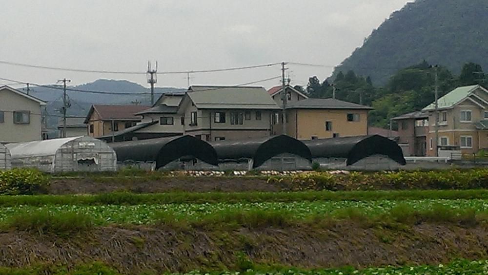 遮光ネット張り完了