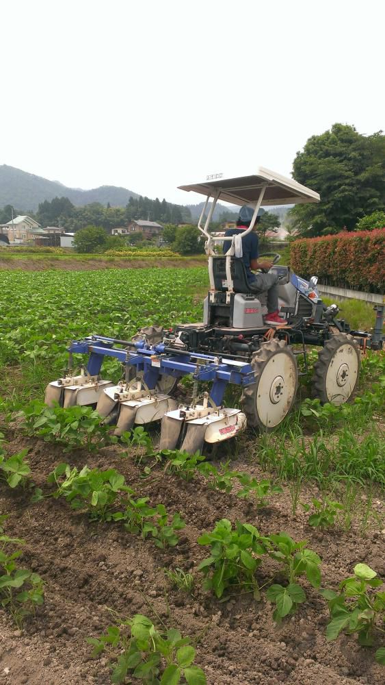 大豆中耕1回目終わり(^^)v