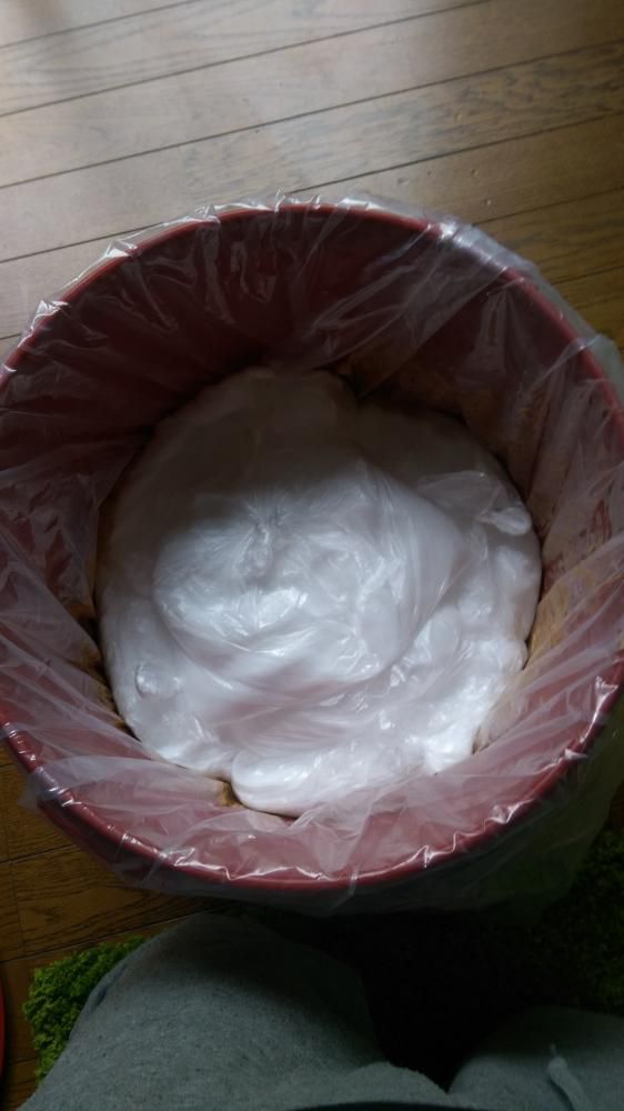 仕込み味噌が気になり始めました！