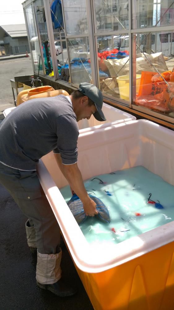 水稲種子消毒！