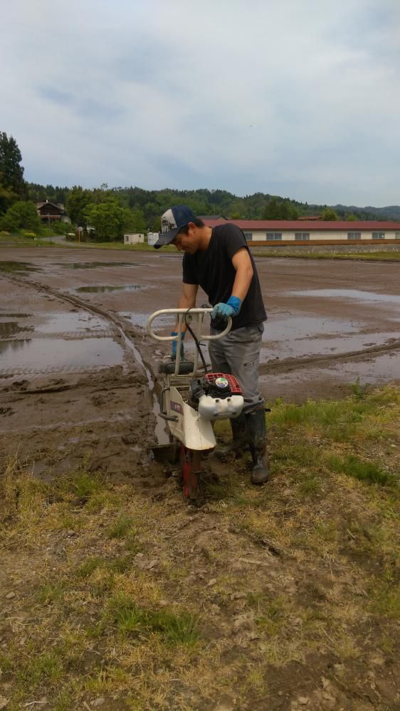 直播開始！田面ライダーはやはり…………
