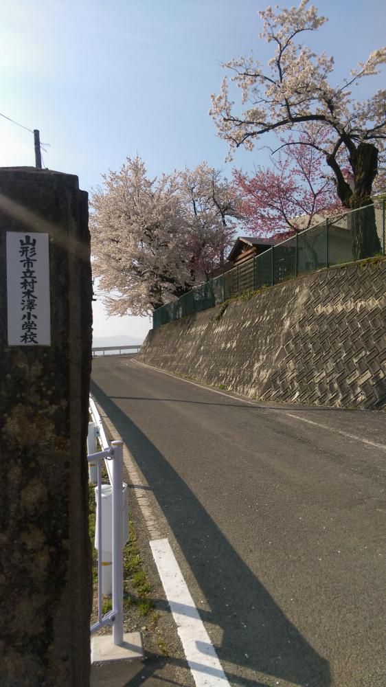 桜ヶ丘！
