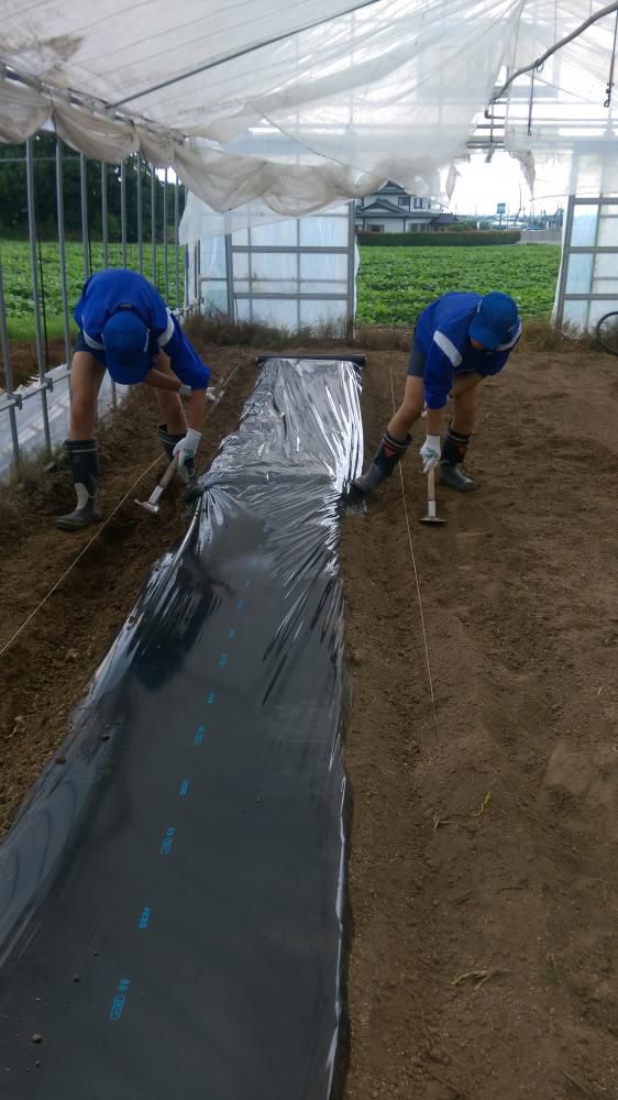職場体験2日目