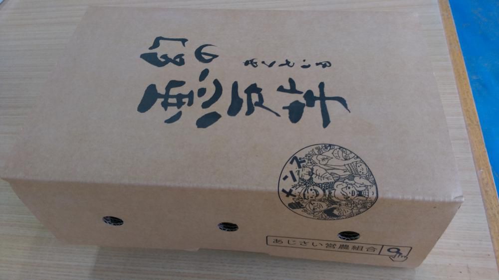 new悪戸芋2kg箱