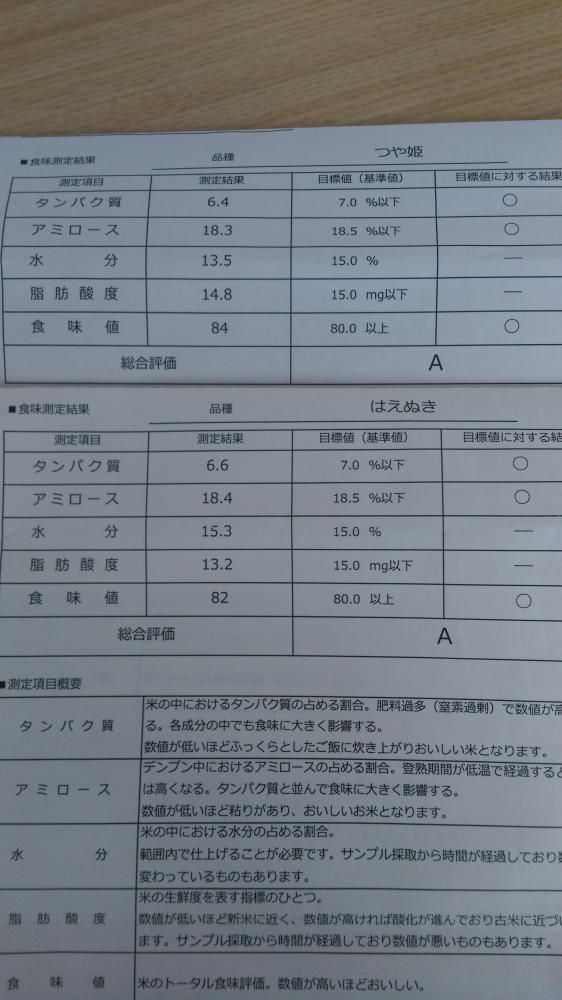 米の検査結果出ました！