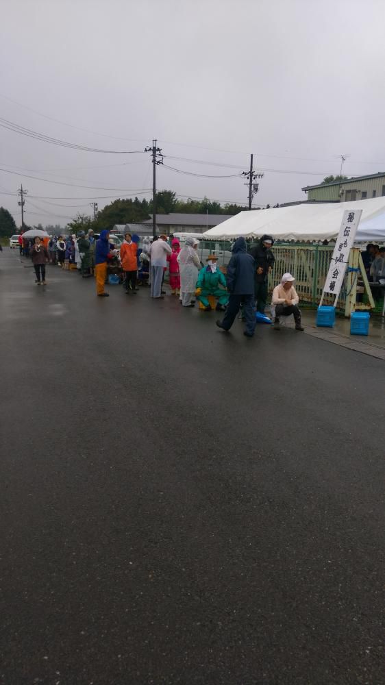 秘伝豆もぎ取りイベント