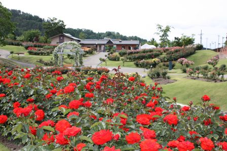東沢バラ公園