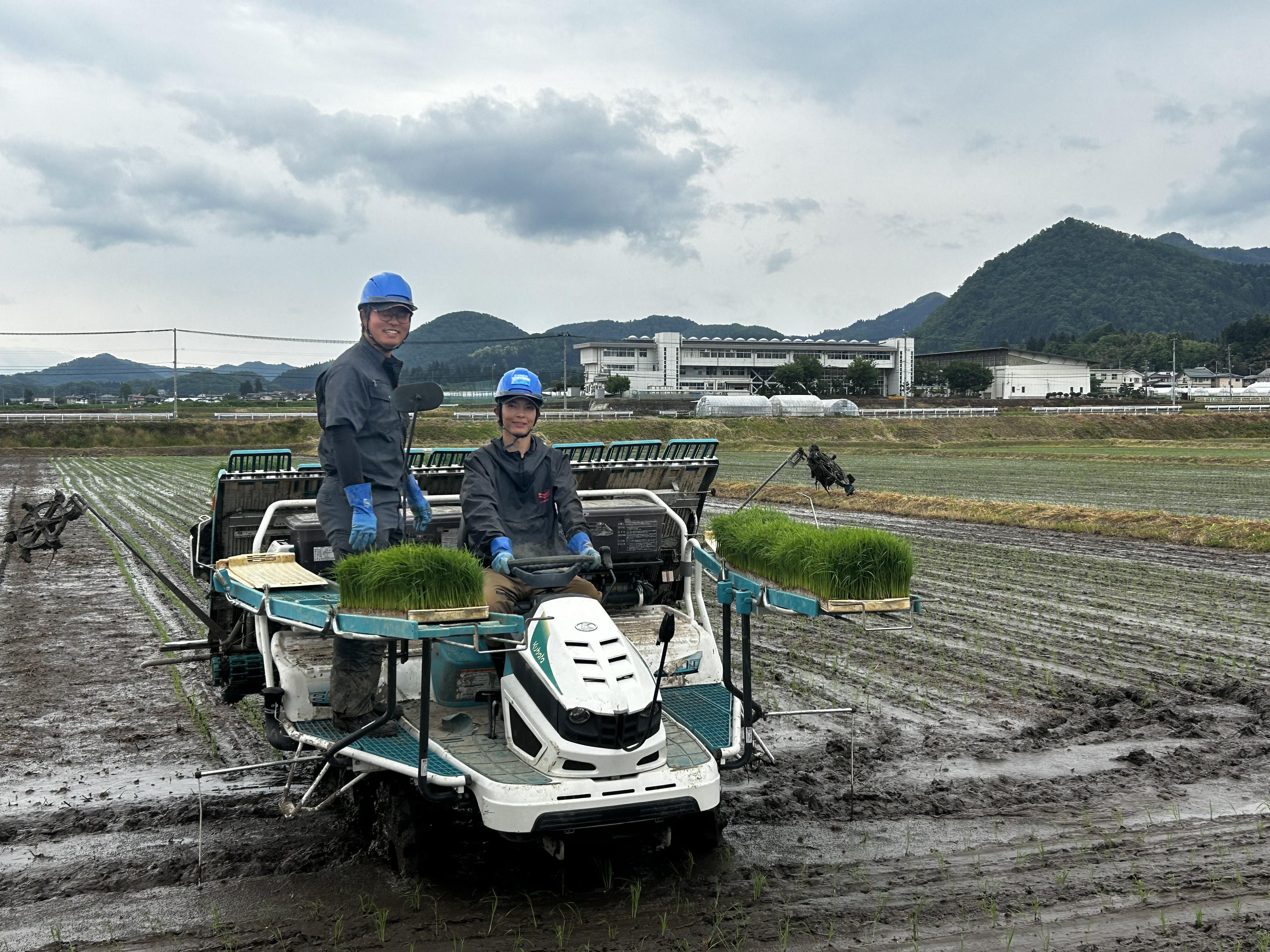 田植え作業真っ只中です！！