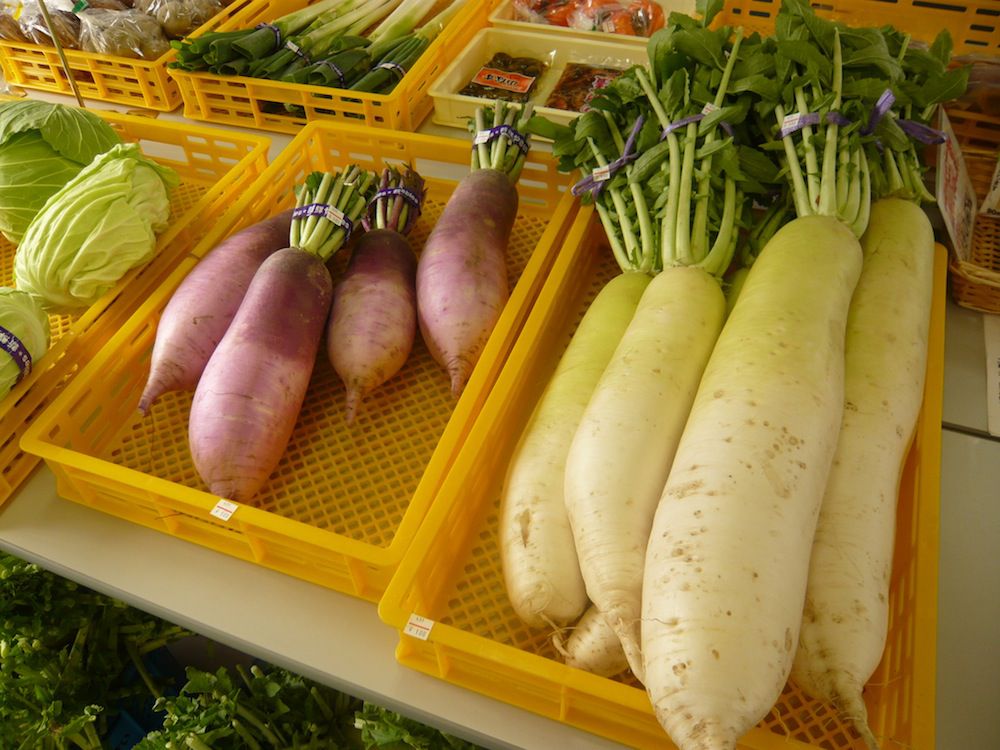 組合生産 大根 販売中～