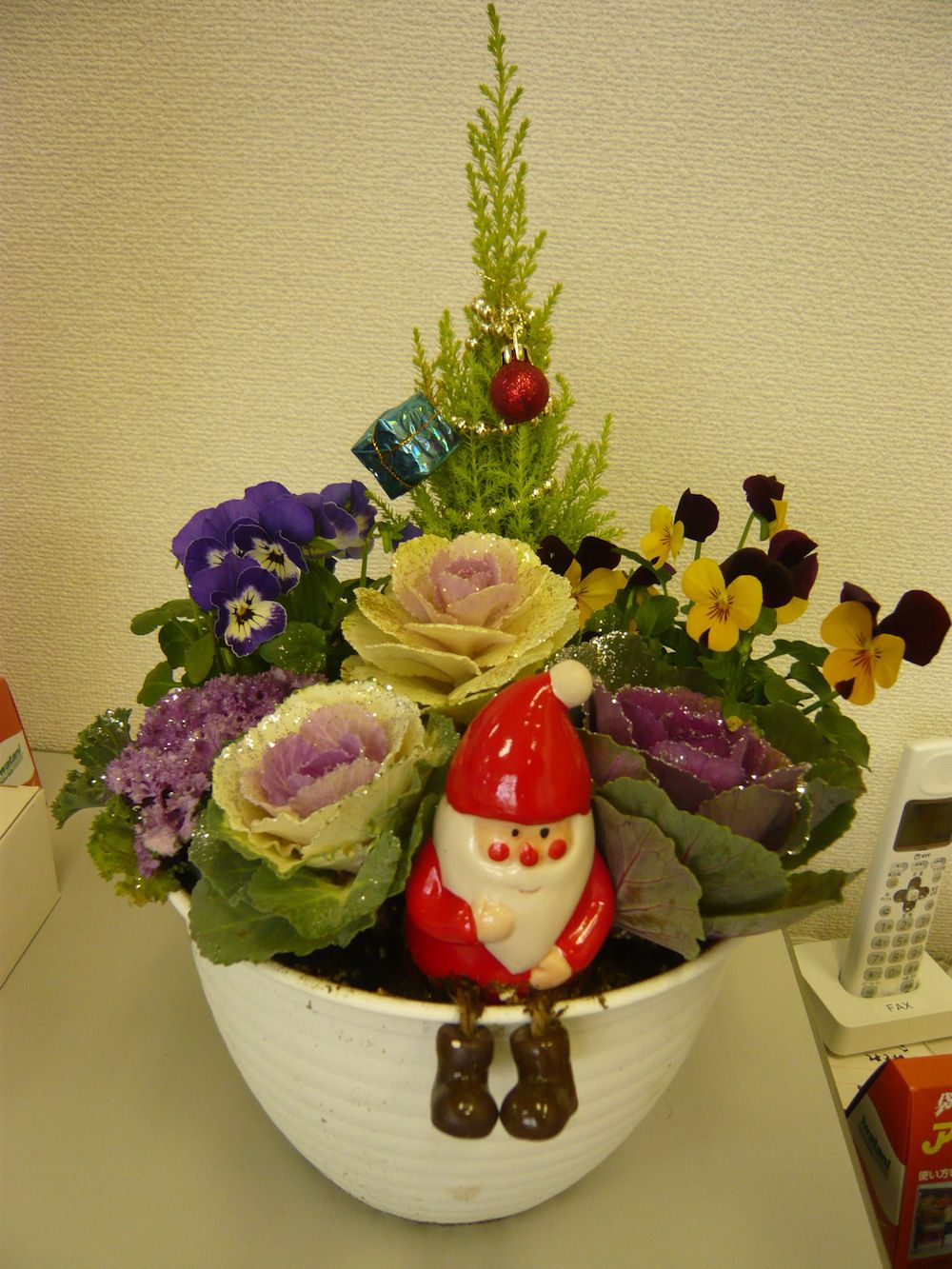 かわいい寄せ植え 販売中(´▽｀)