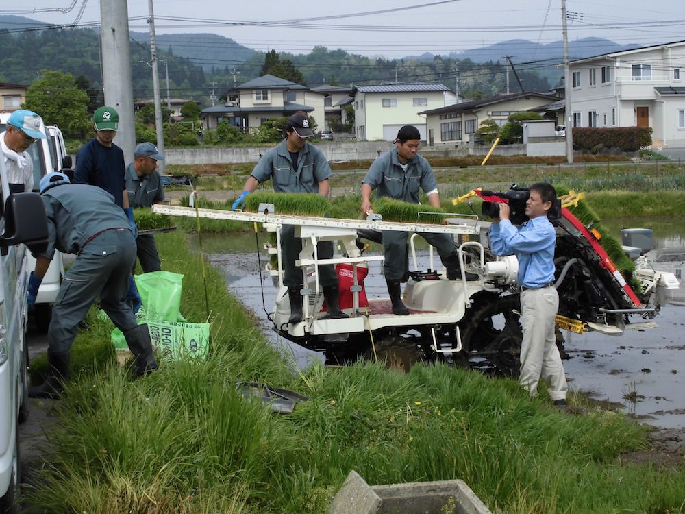 田植え開始！(p`･ω･´q)