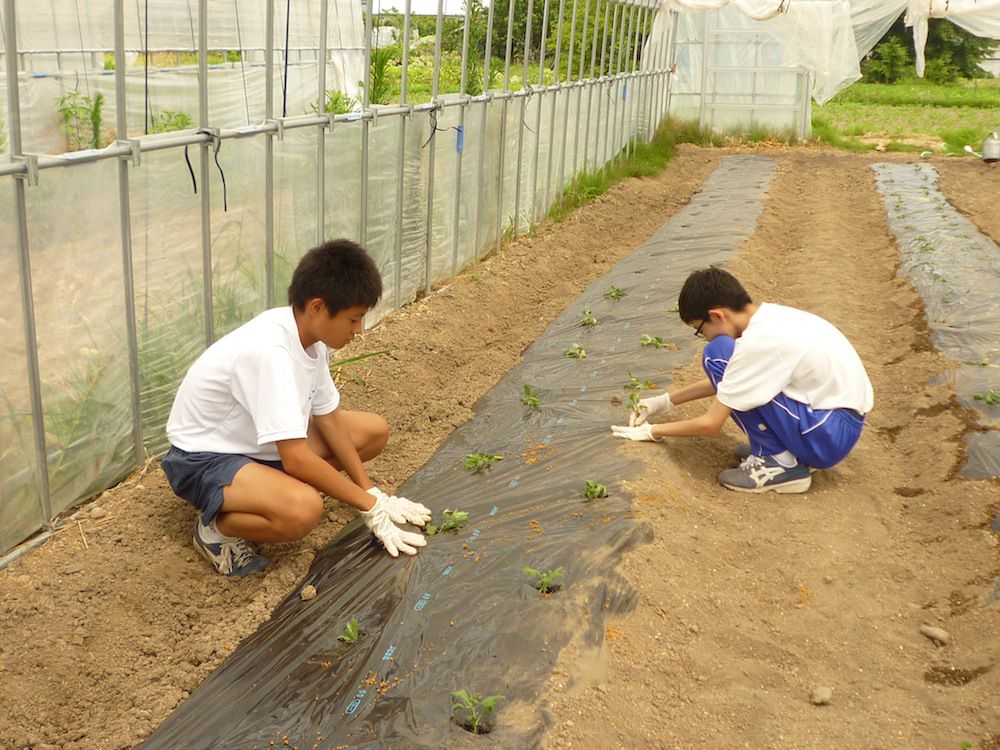 職場体験レポート　２日目①