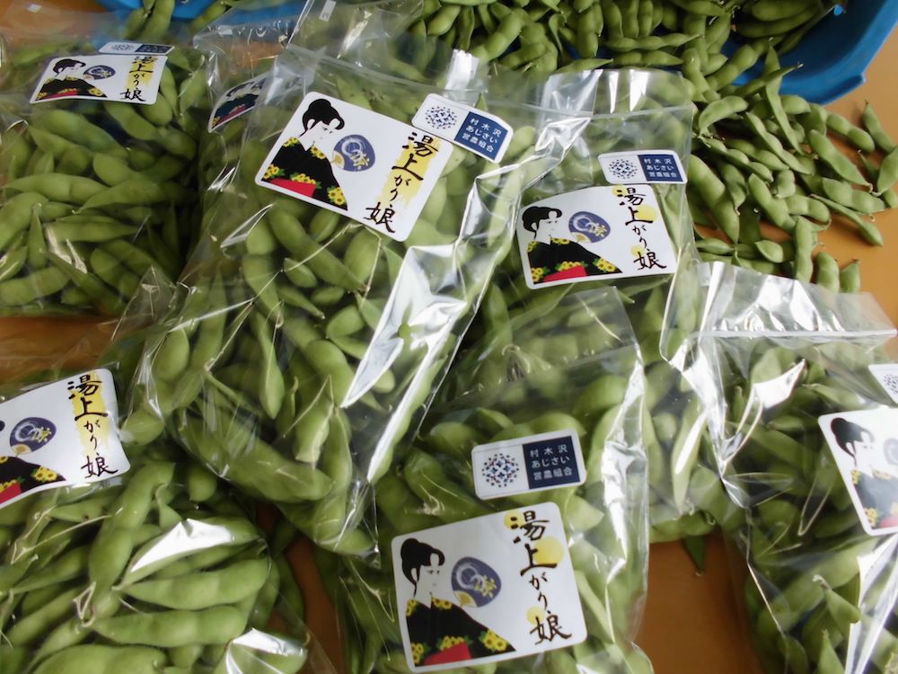 枝豆販売開始します！